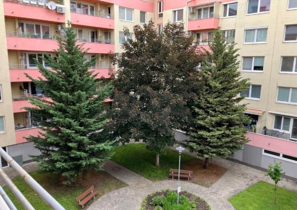 Fotografia č. 10