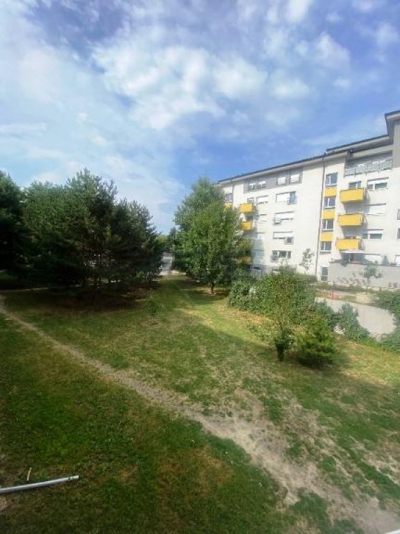 Fotografia č. 14