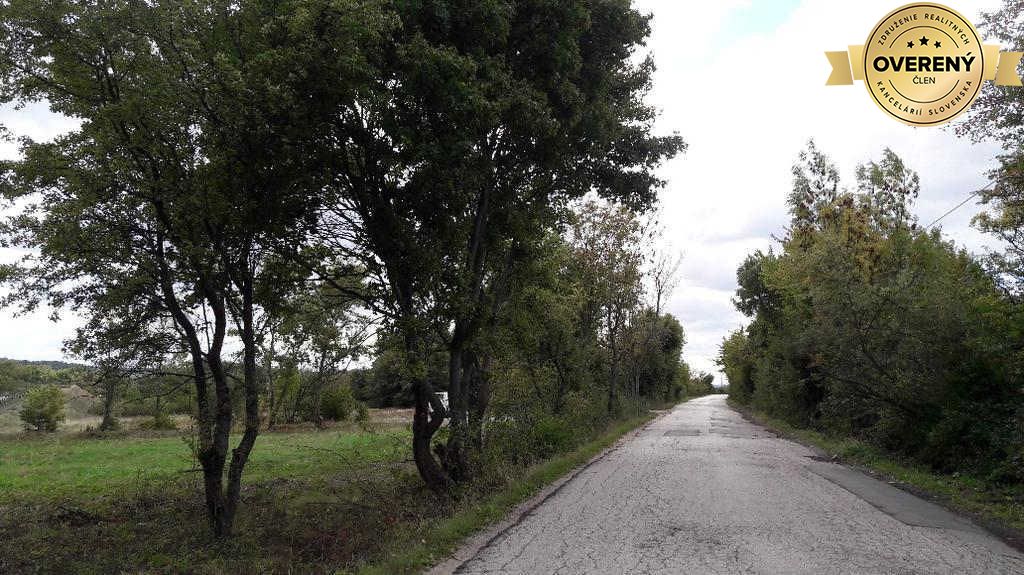 Fotografia č. 6