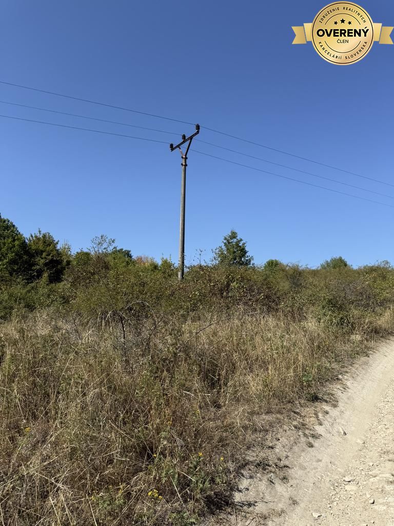 Fotografia č. 6