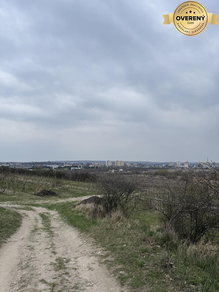 Fotografia č. 9