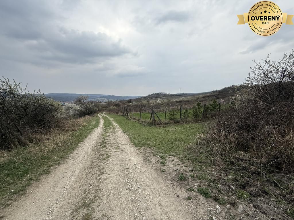 Fotografia č. 8