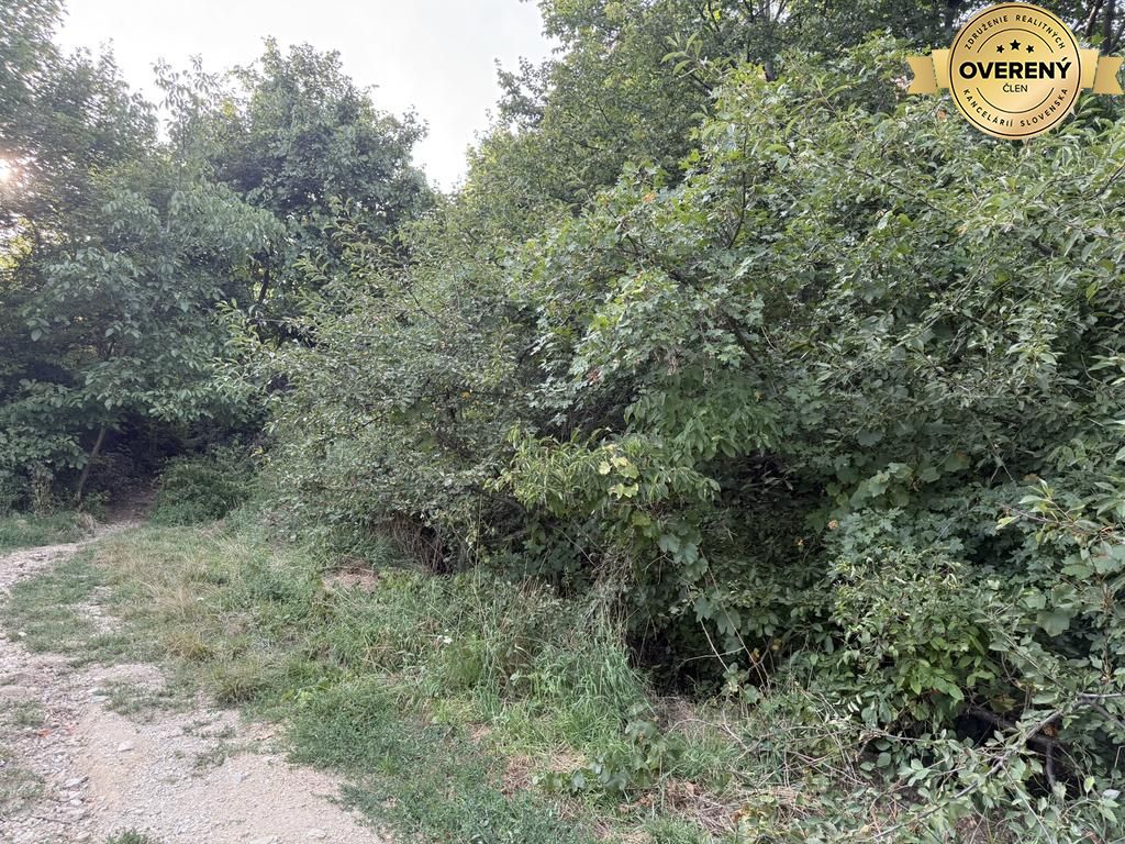 Fotografia č. 7
