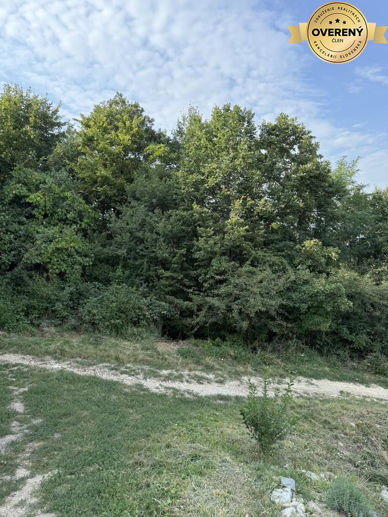 Fotografia č. 5