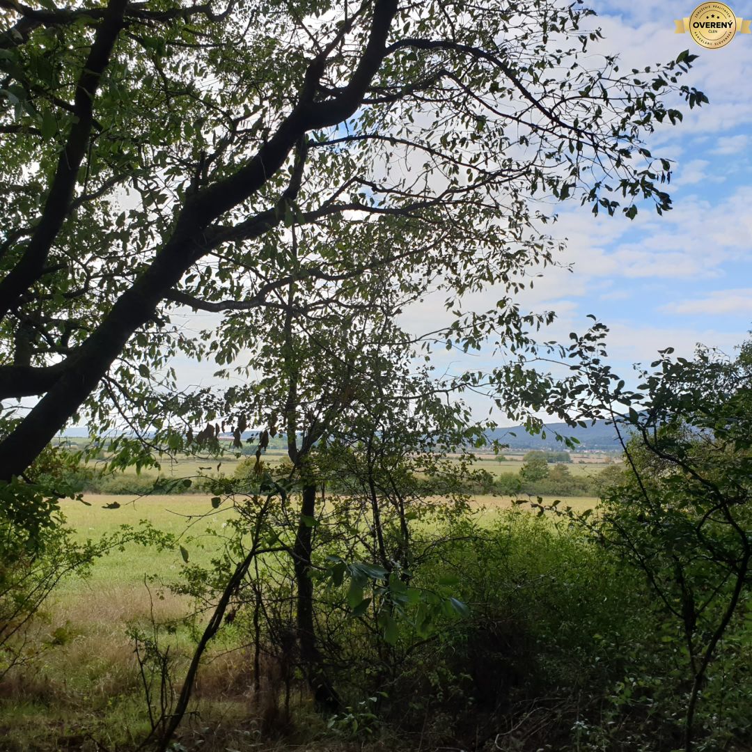 Fotografia č. 4