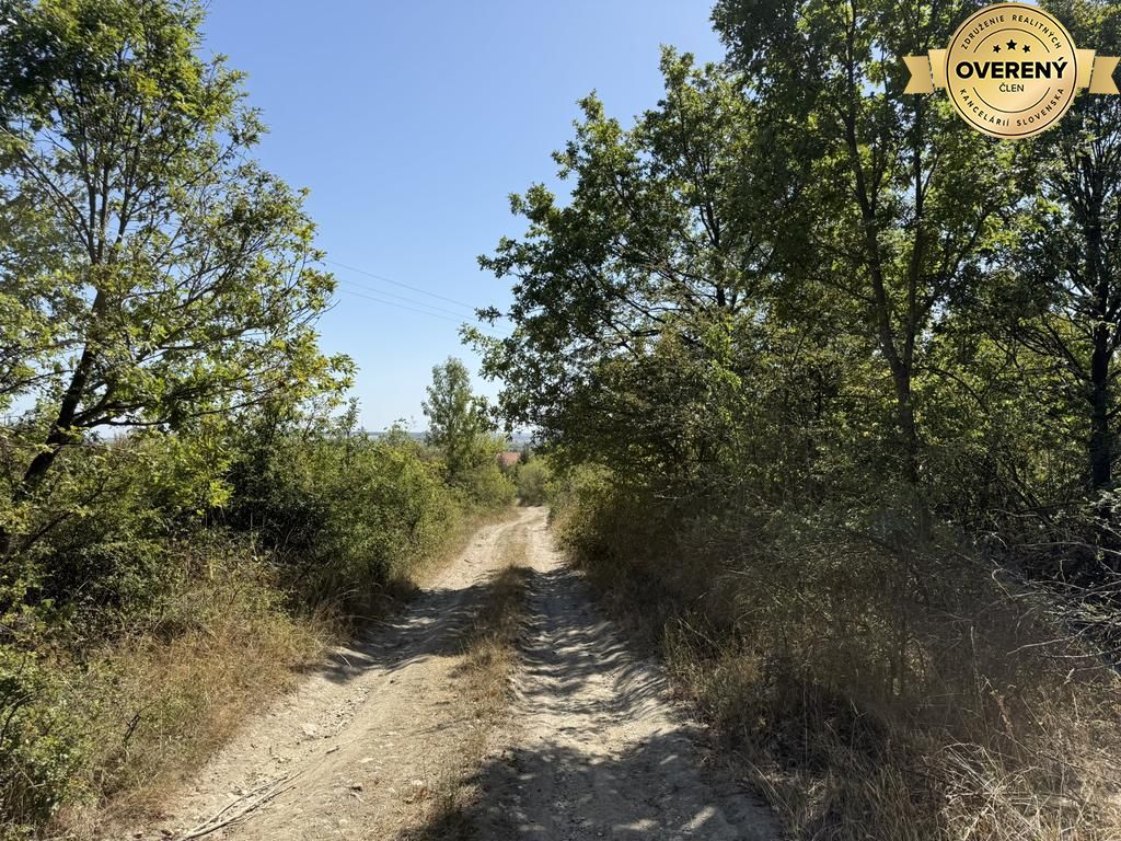 Fotografia č. 7