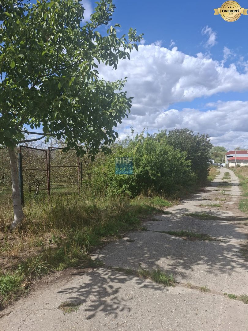 Fotografia č. 10