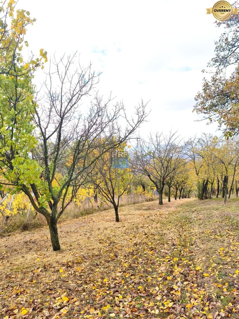 Fotografia č. 4