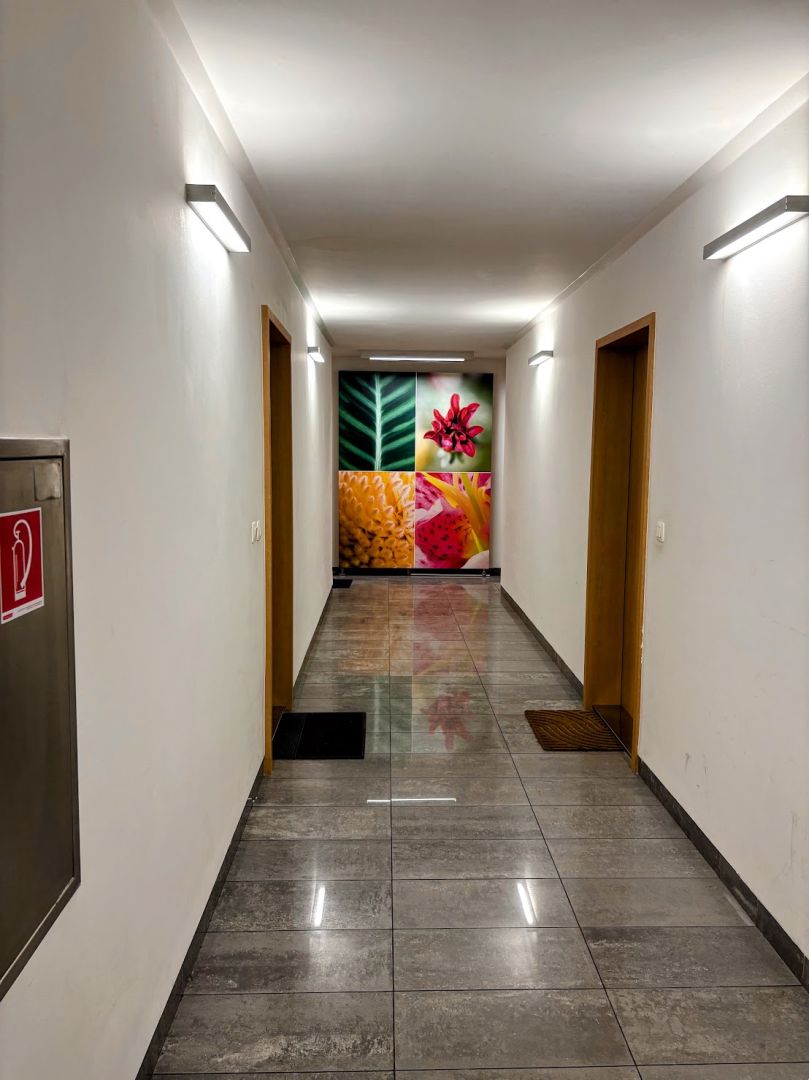 Fotografia č. 14