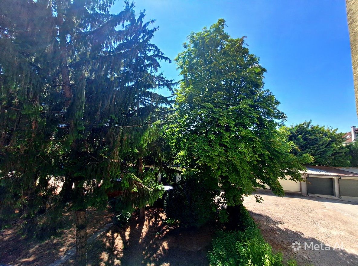 Fotografia č. 3