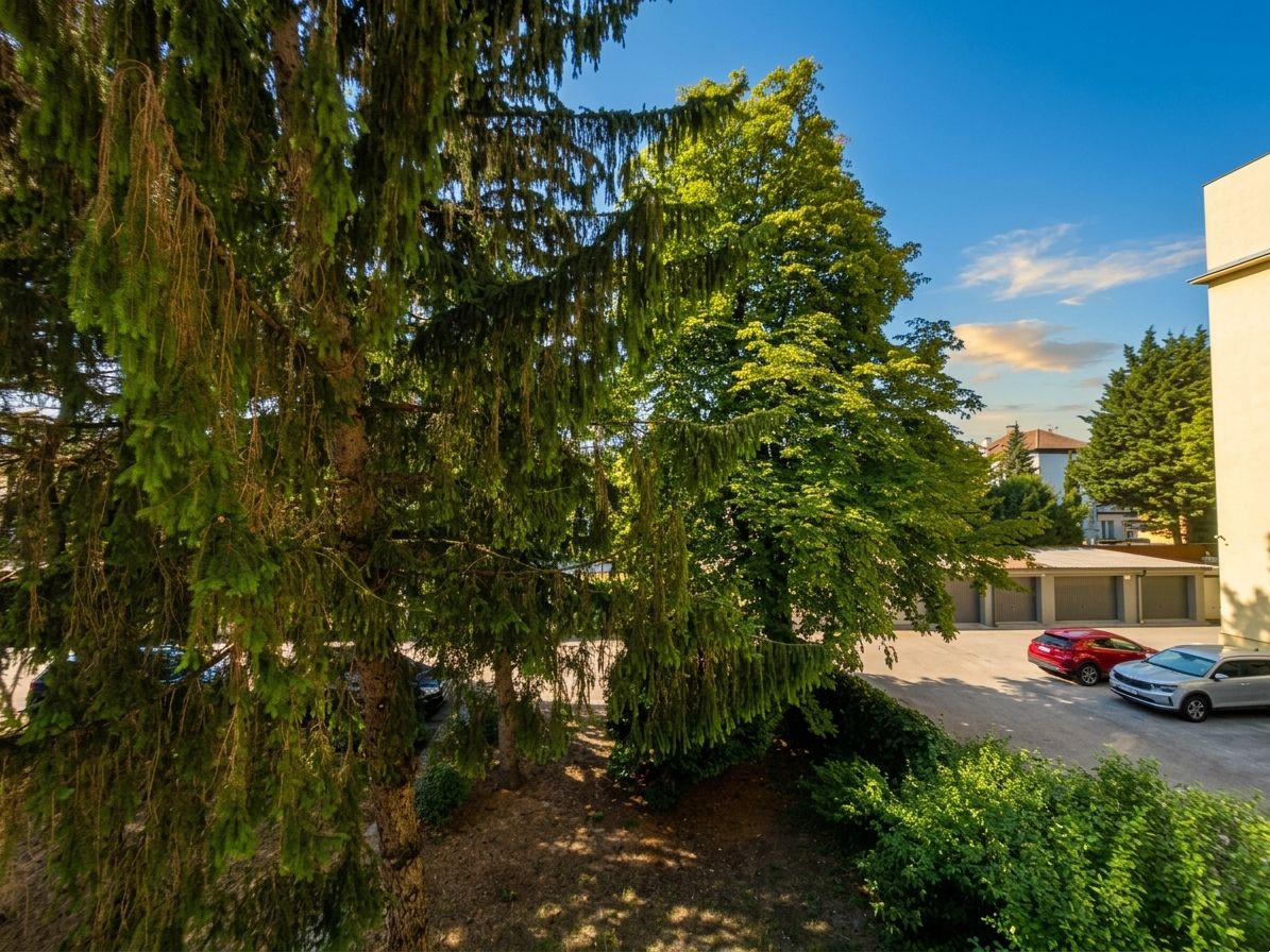 Fotografia č. 5