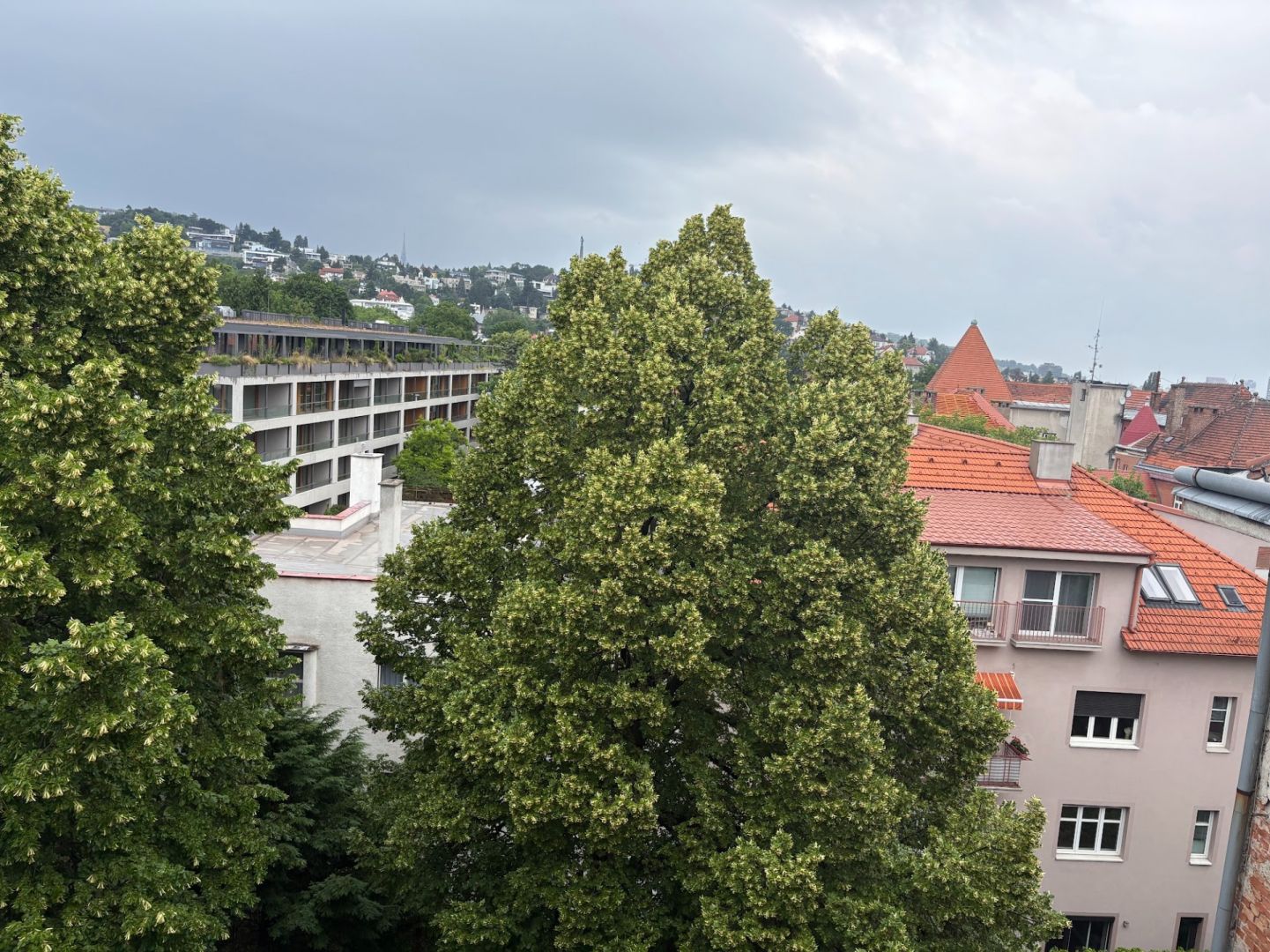 Fotografia č. 9