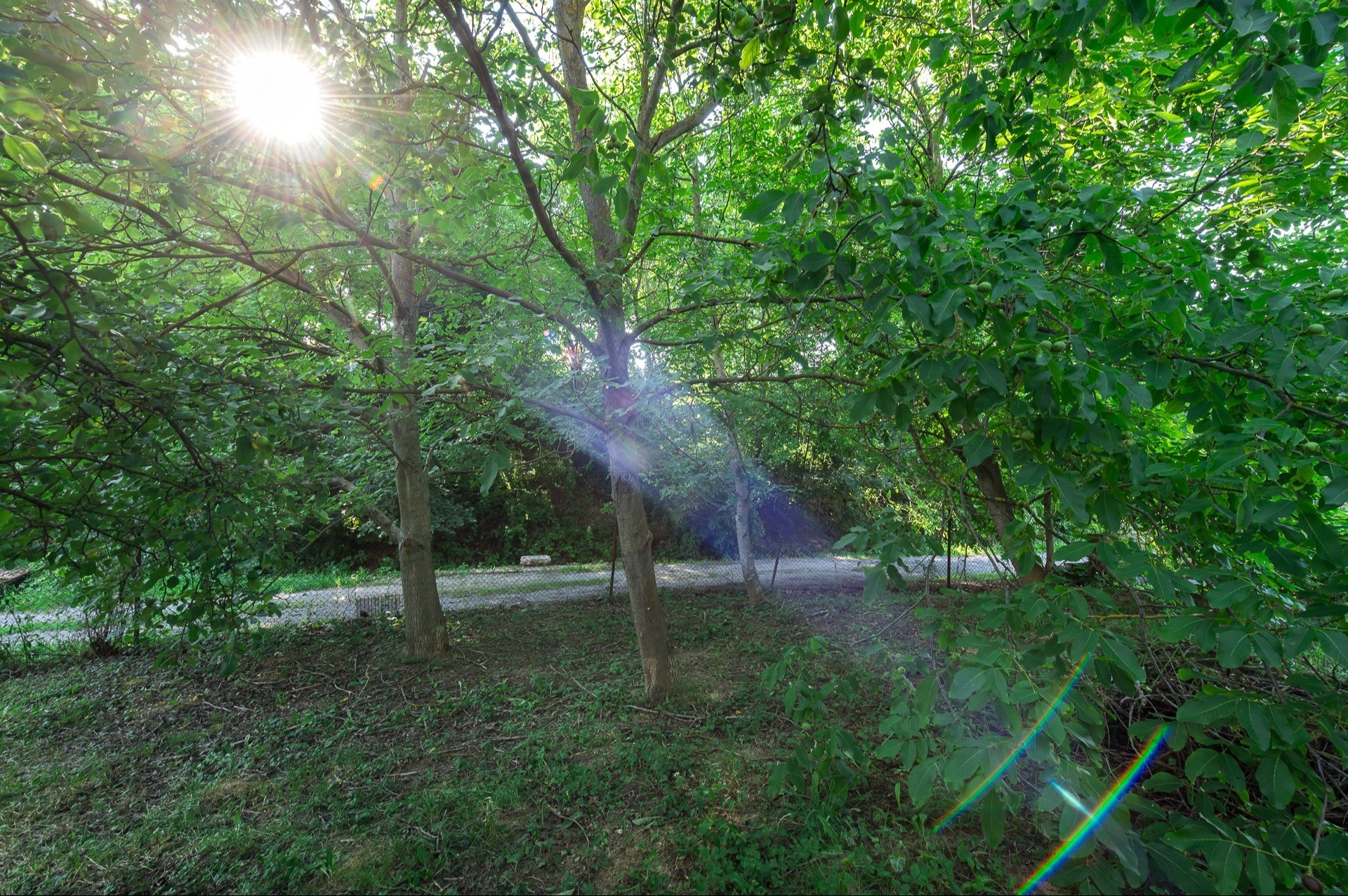Fotografia č. 17