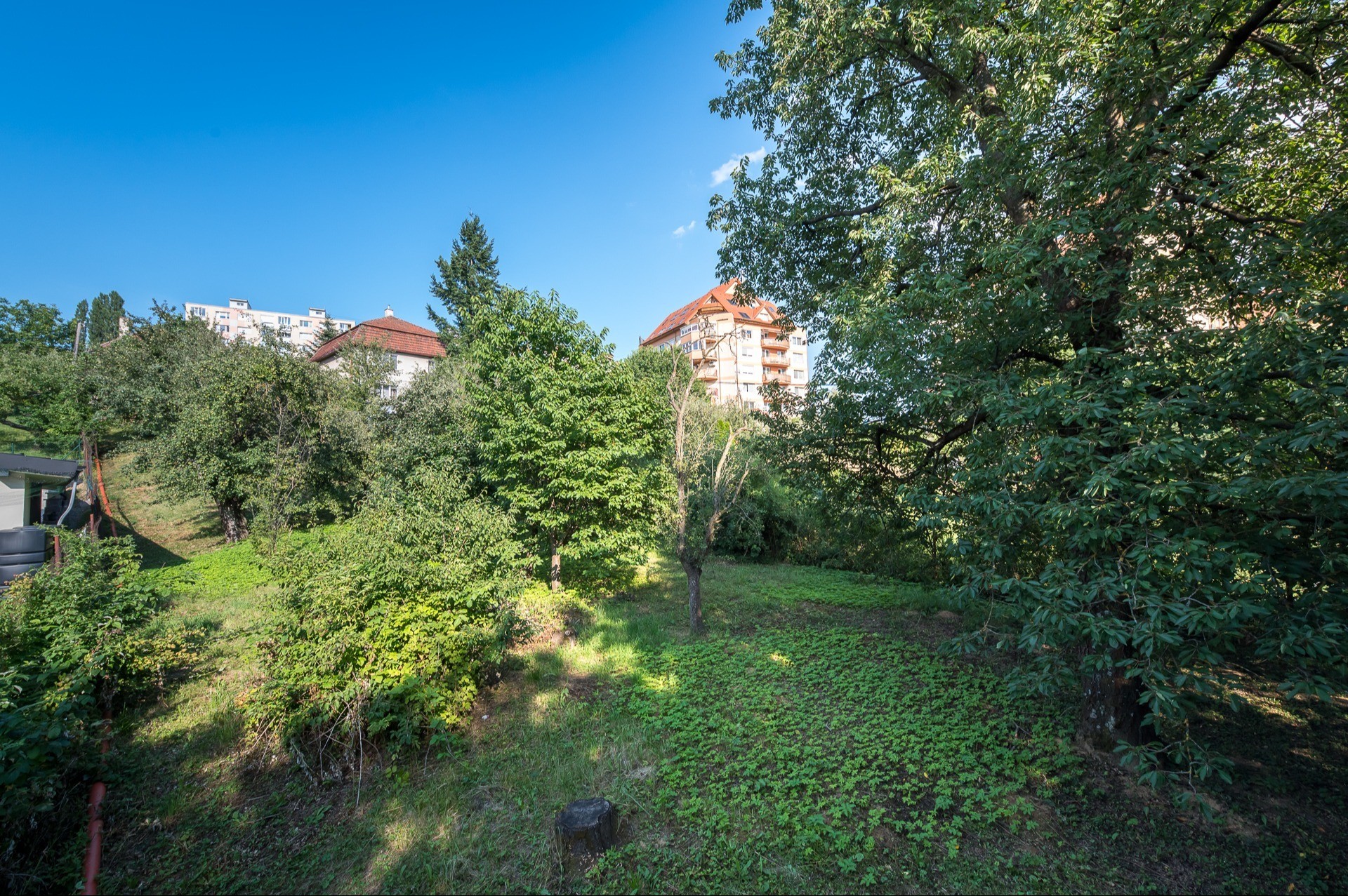 Fotografia č. 13