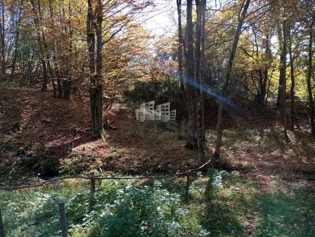 Fotografia č. 5