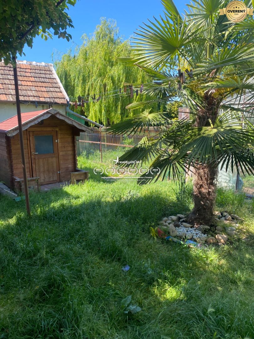 Fotografia č. 13