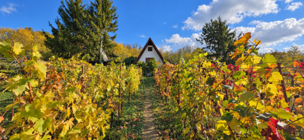 pnorf chata medzi vinicami s výhľadom na váh 70 m² tokajka, hlohovec