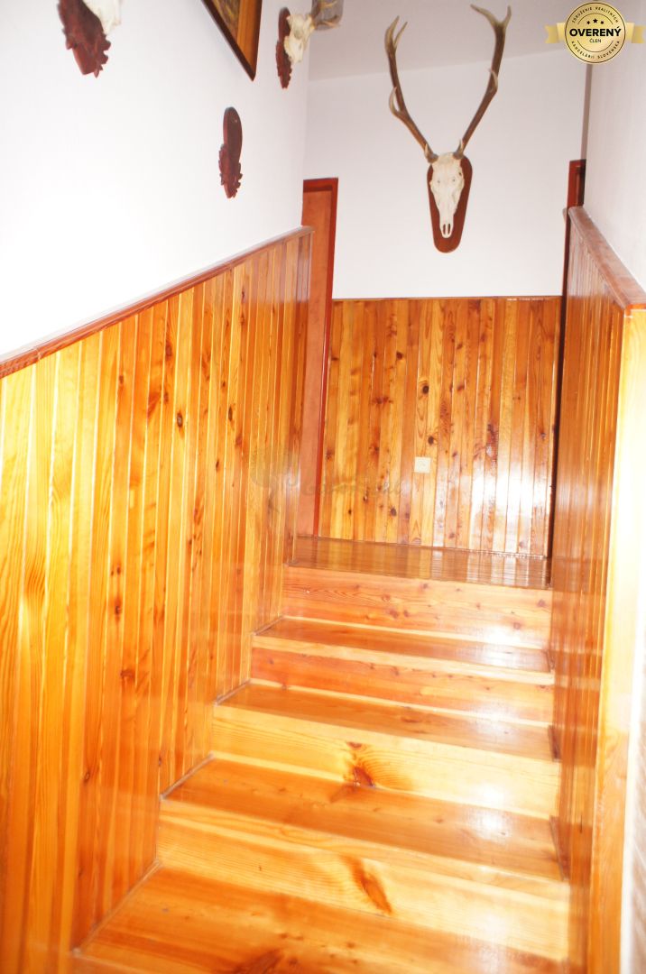Fotografia č. 7