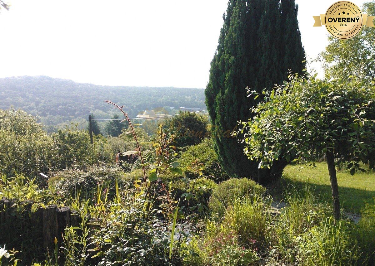 Fotografia č. 8