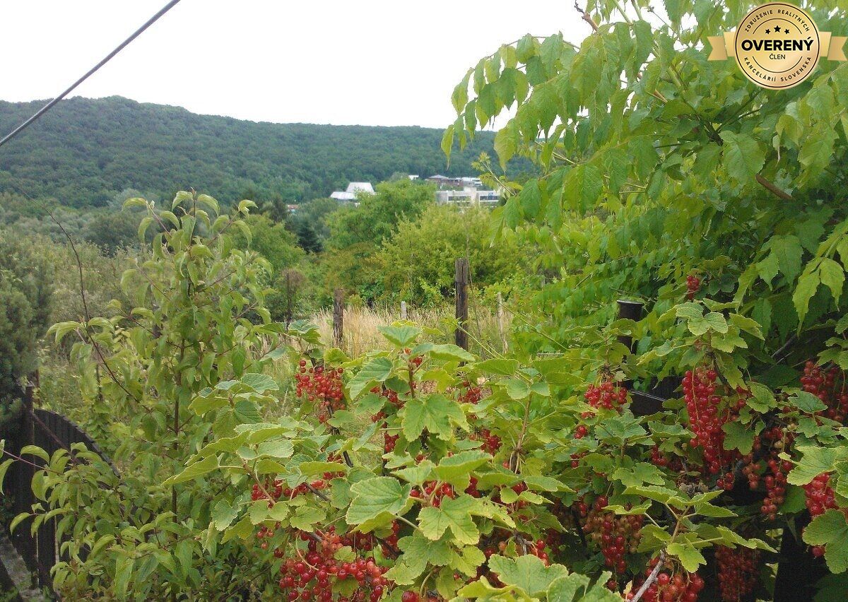 Fotografia č. 5