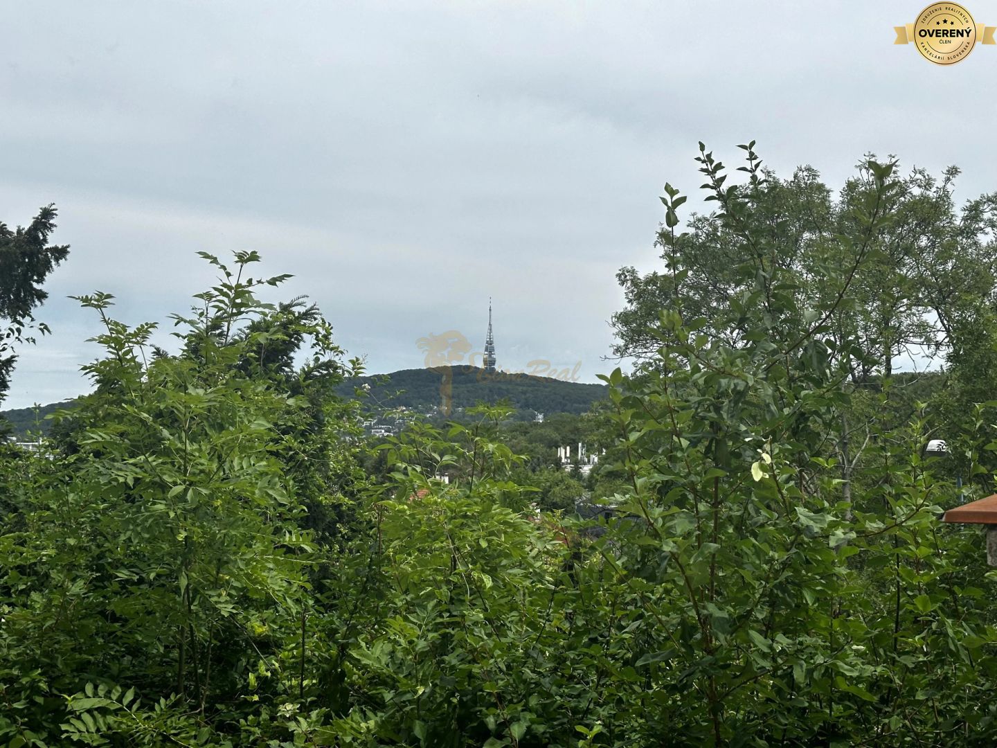 Fotografia č. 8