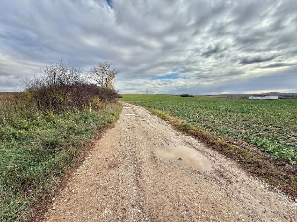 Fotografia č. 6