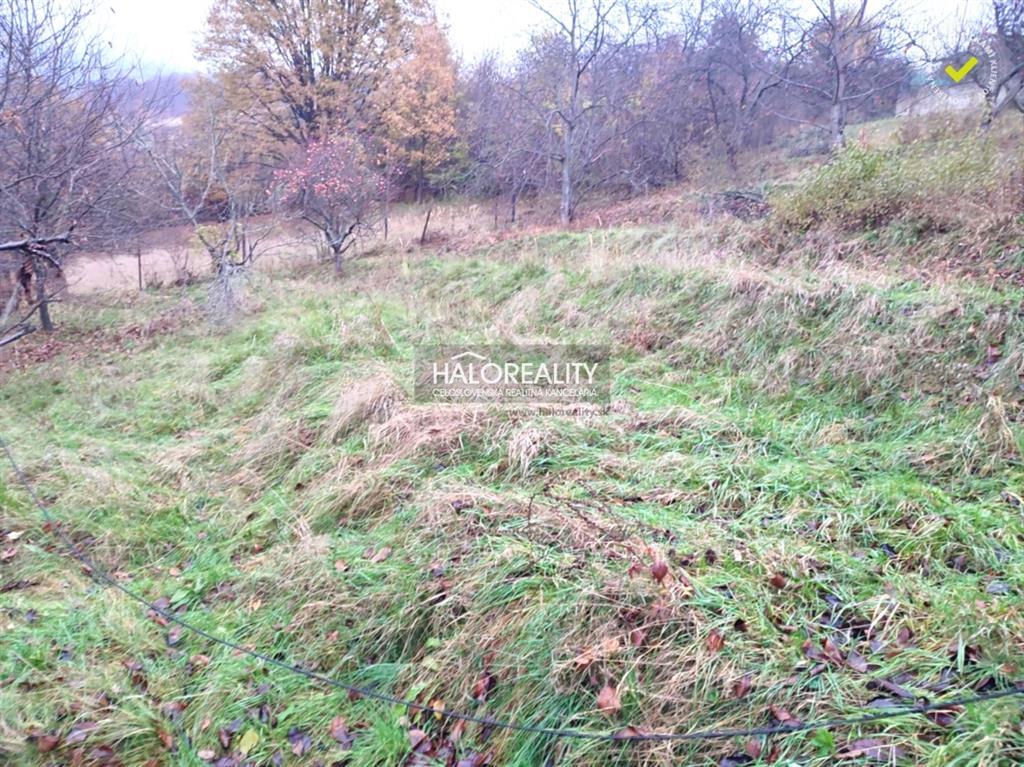 Fotografia č. 4