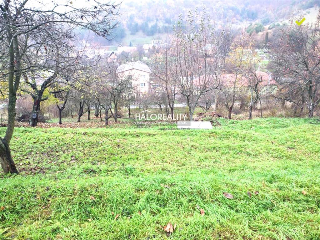 Fotografia č. 6