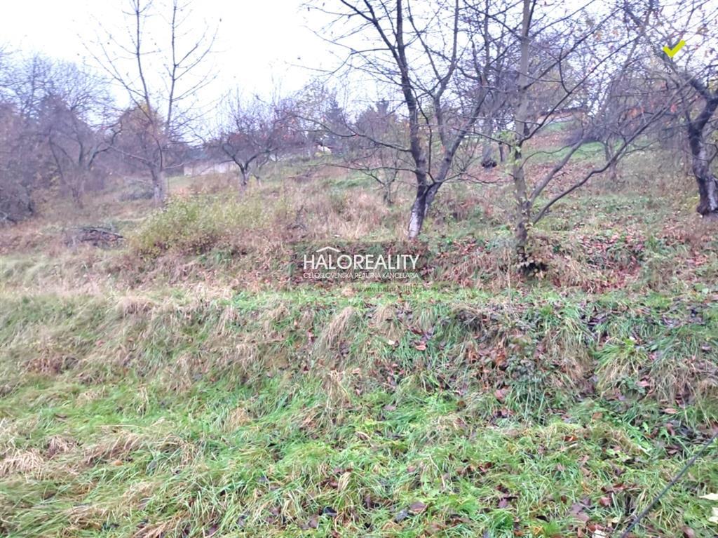 Fotografia č. 3