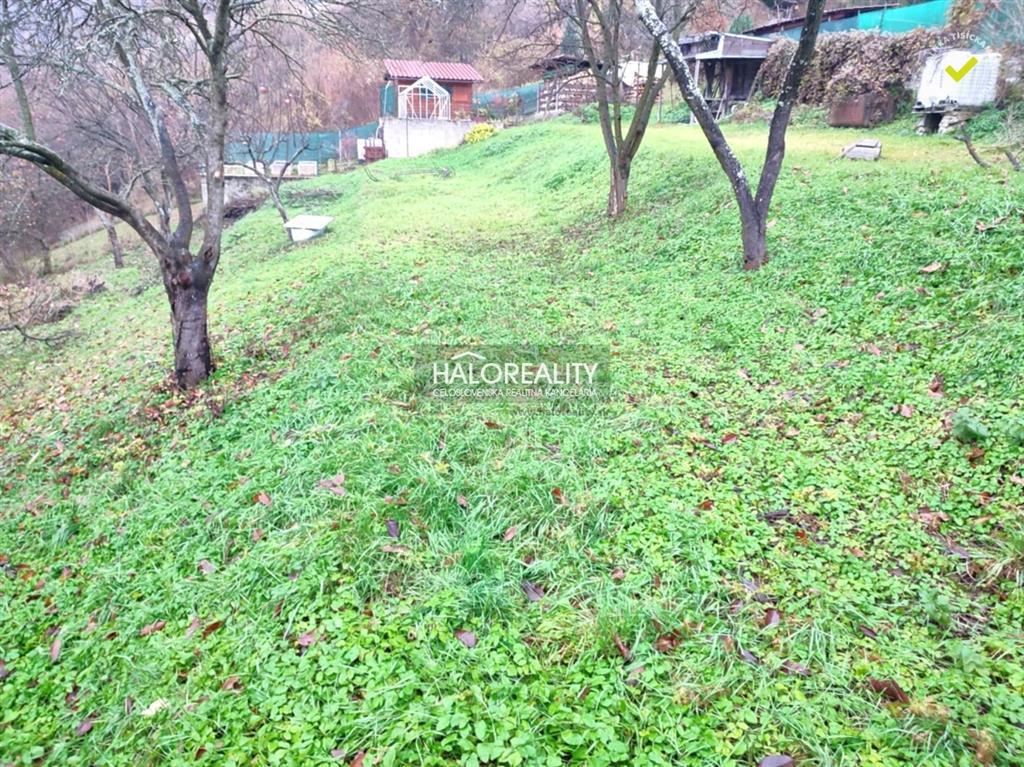 Fotografia č. 5