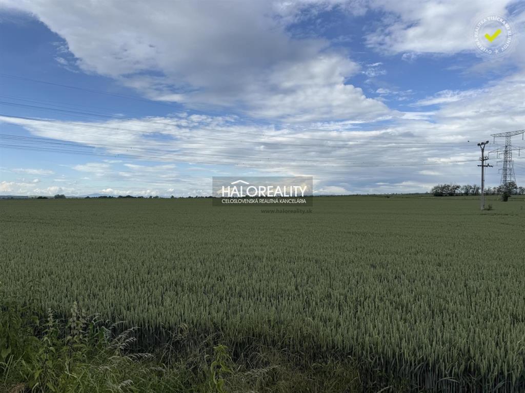 Fotografia č. 4