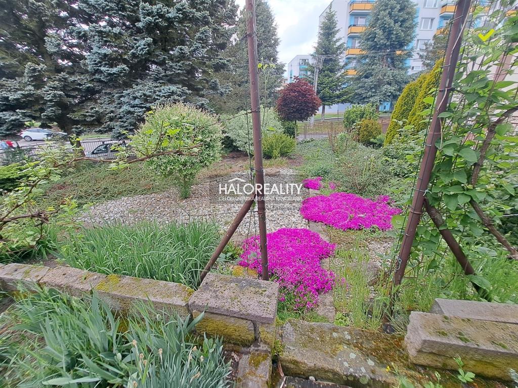 Fotografia č. 13