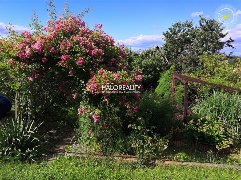 Fotografia č. 9
