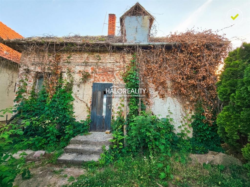 Fotografia č. 12