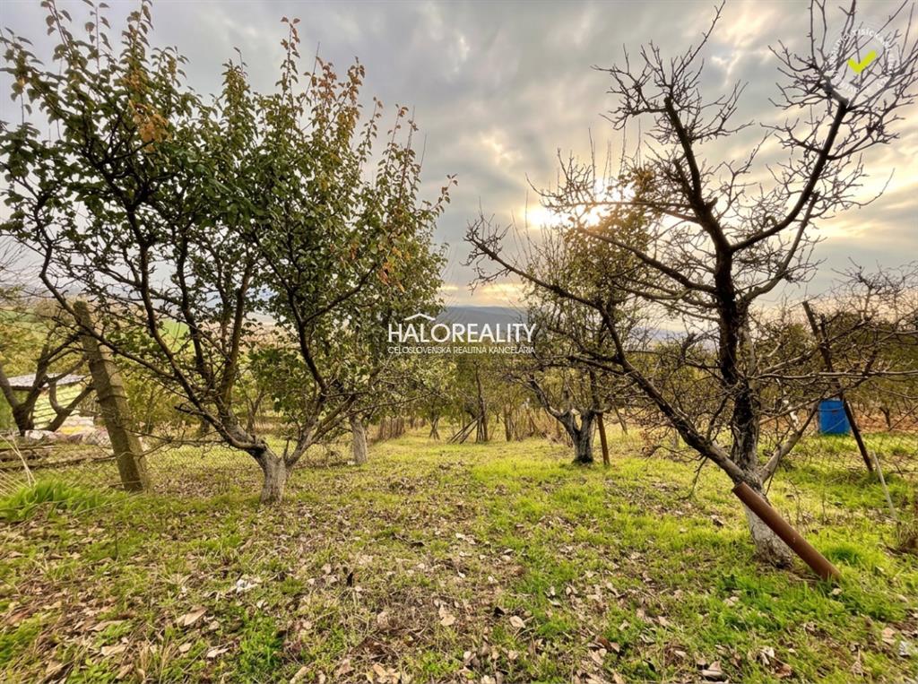 predaj, rekreačný pozemok šahy, vinica s chatkou, 437 m2 - exkluzívne halo reality