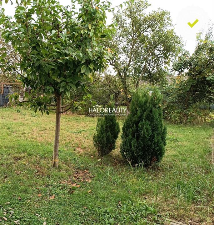 Fotografia č. 14
