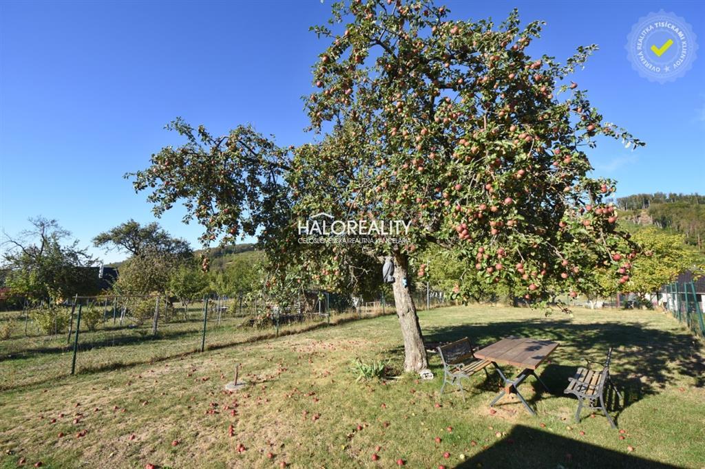 Fotografia č. 6