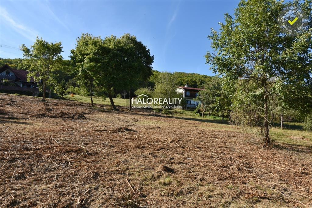 Fotografia č. 5