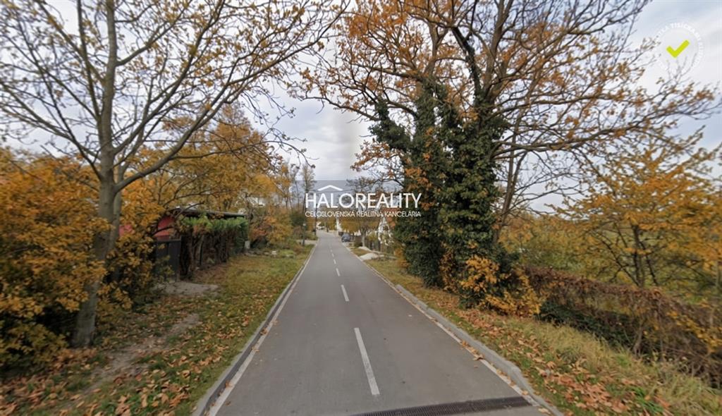 Fotografia č. 7