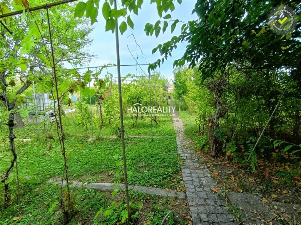 Fotografia č. 5