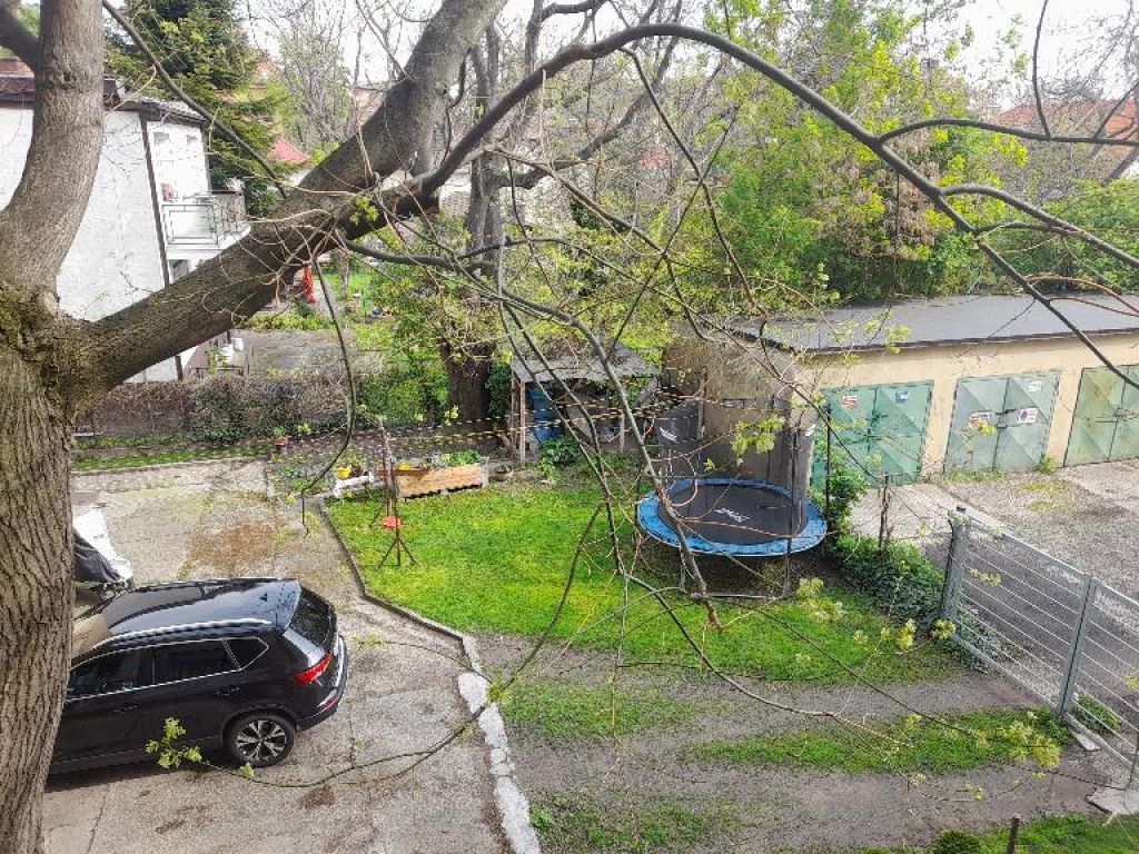 Fotografia č. 16