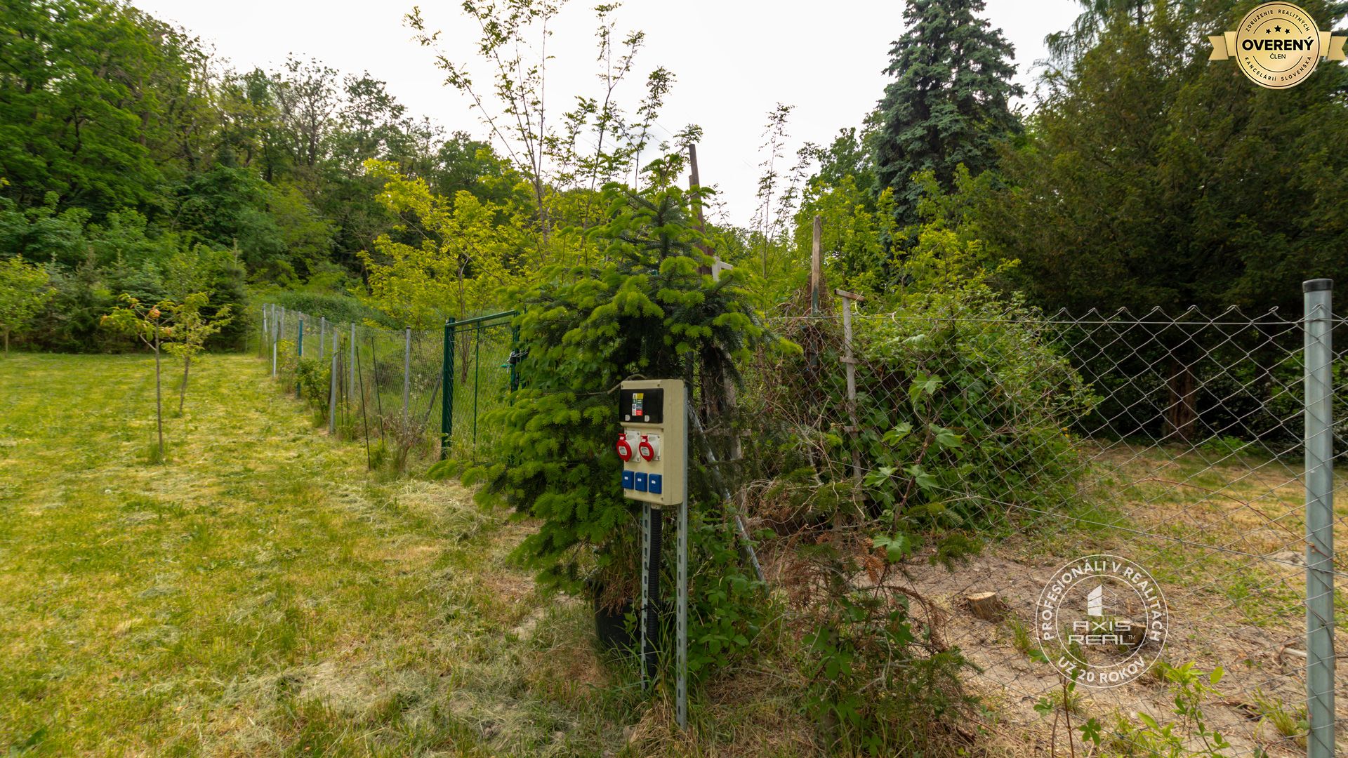 Fotografia č. 9