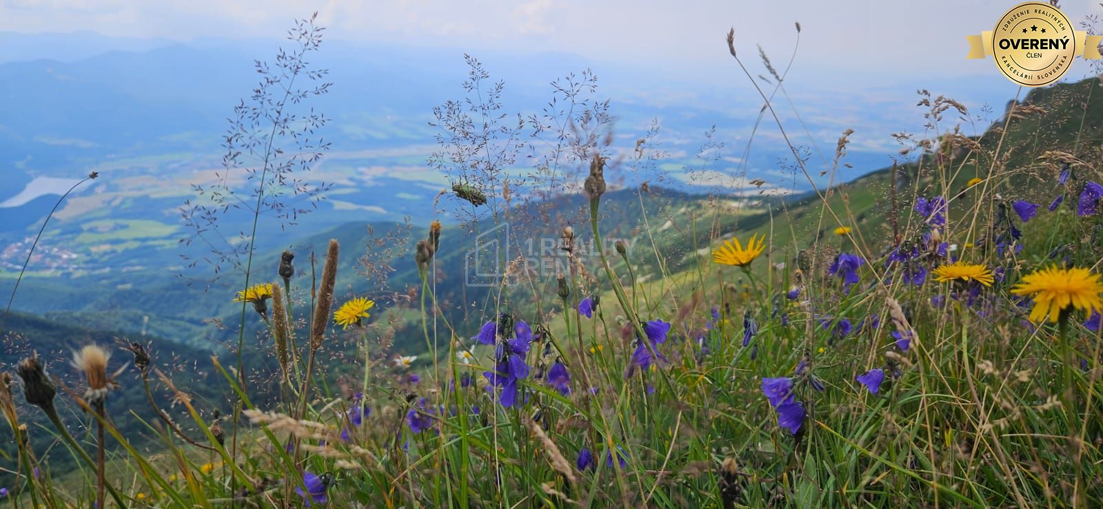 Fotografia č. 12