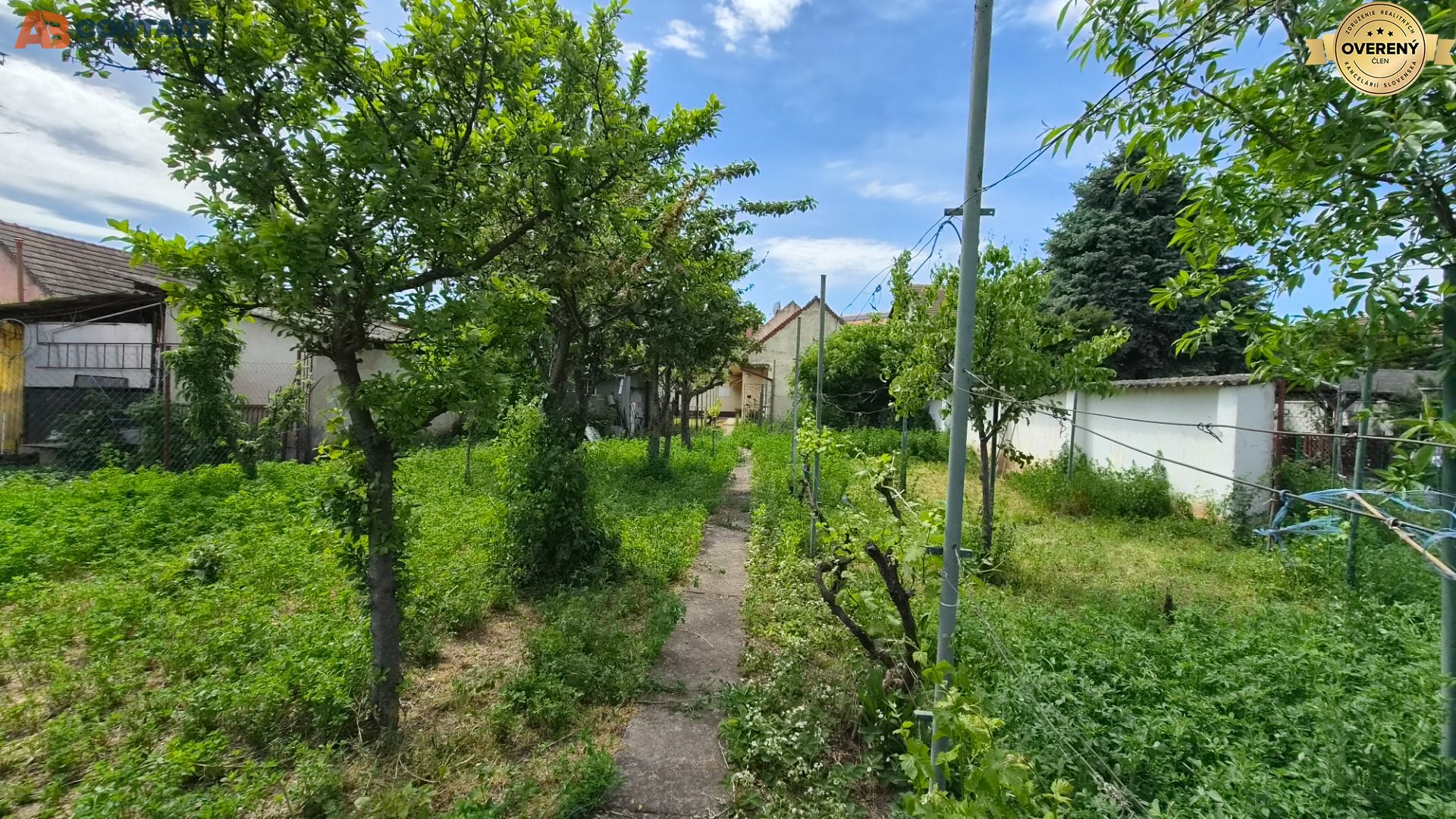 Fotografia č. 5