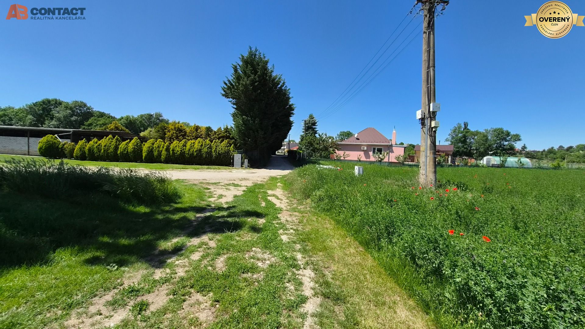 Fotografia č. 16