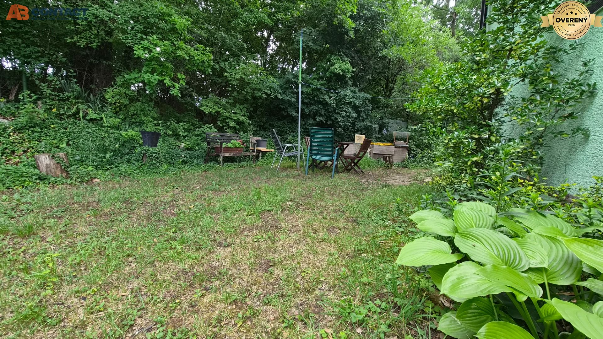 Fotografia č. 7