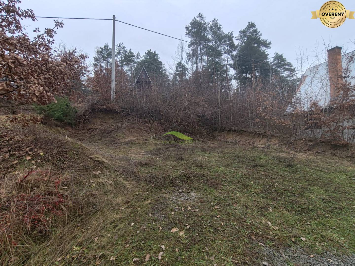 Fotografia č. 8