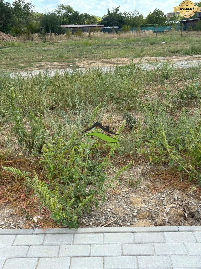 Fotografia č. 2