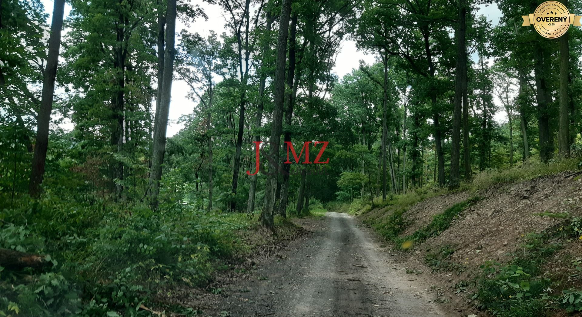 Fotografia č. 7