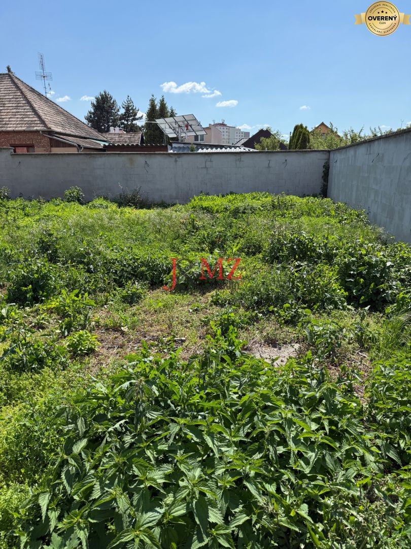 Fotografia č. 5